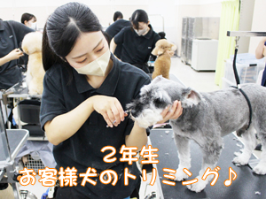 時間を意識したトリミング♪